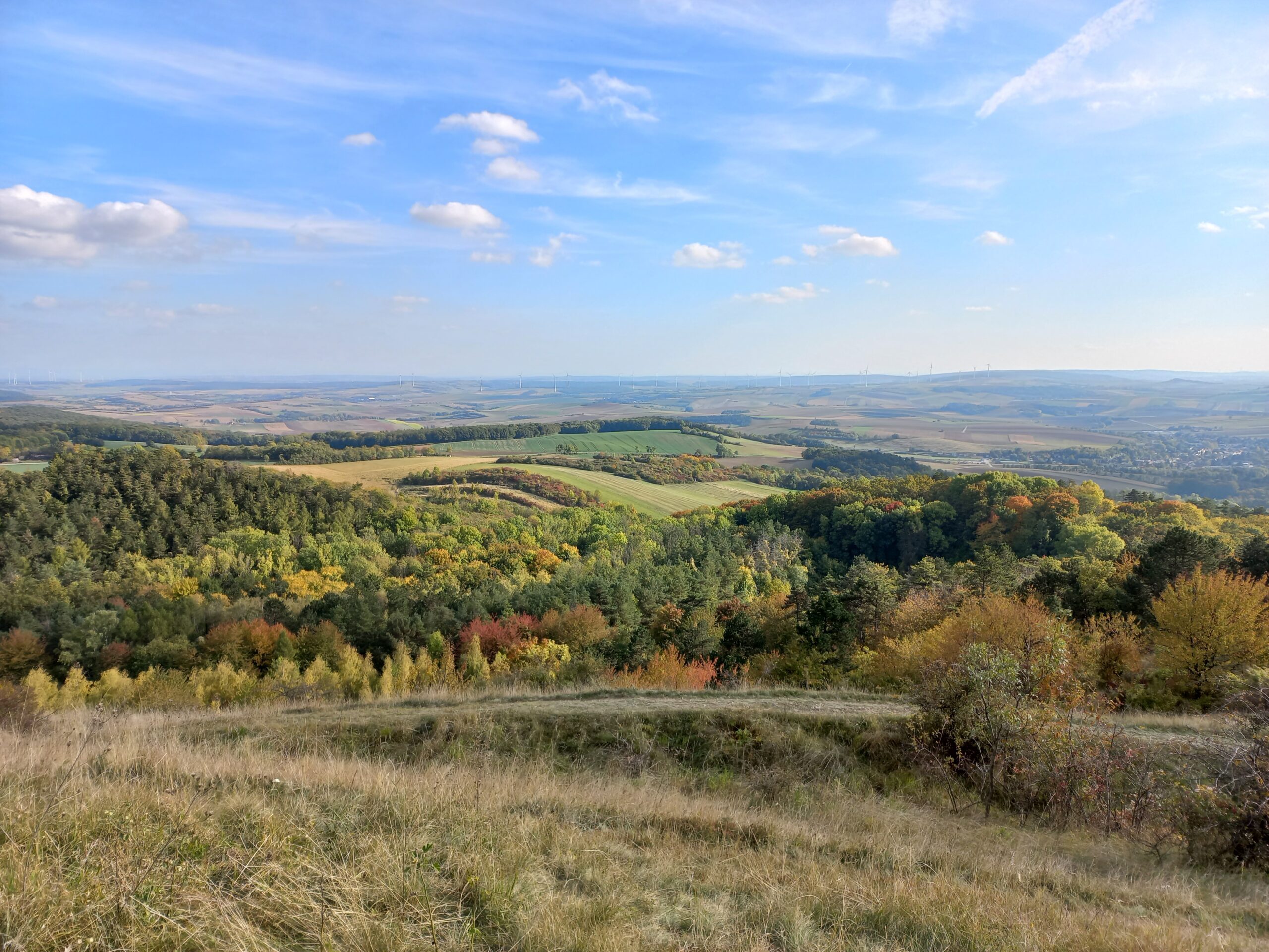 Spaziergang ins Grüne, kommen wir ins Gespräch!